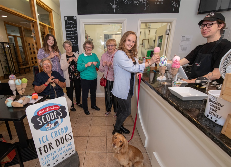 Theatre launches knitted ice cream appeal for panto