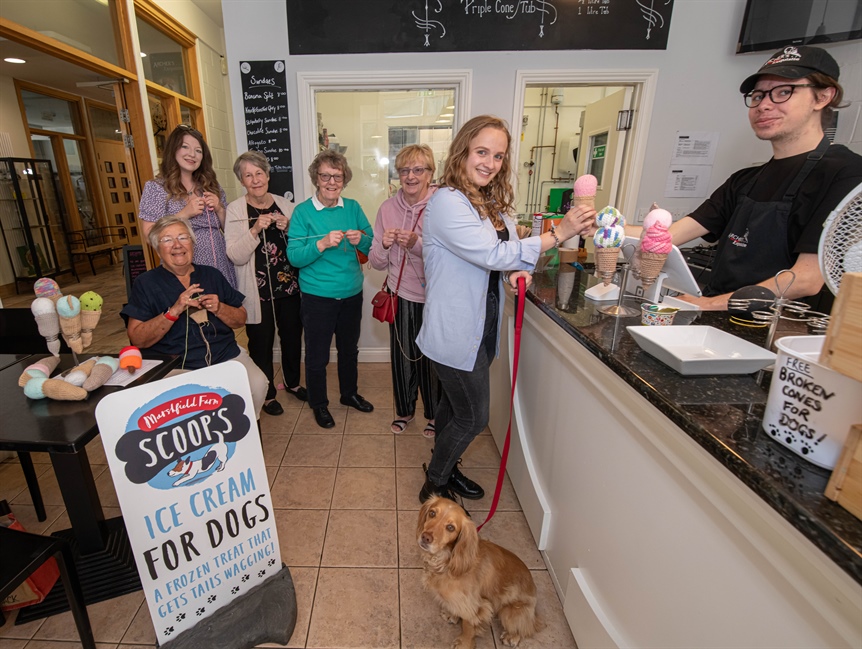 Theatre launches knitted ice cream appeal for panto